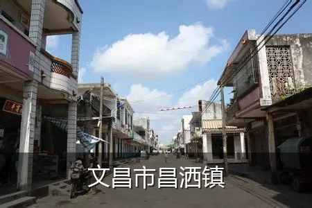 文昌市昌洒镇