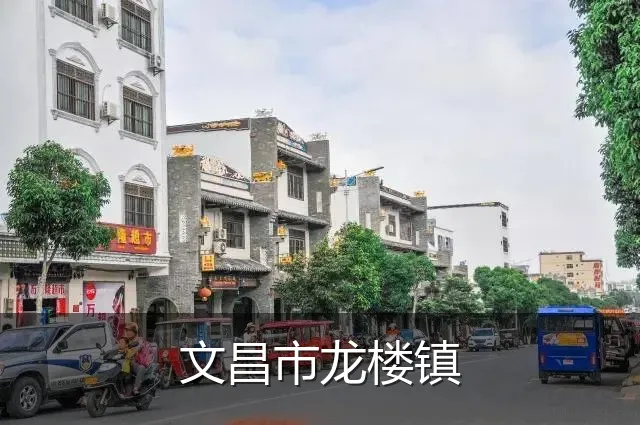 文昌市龙楼镇
